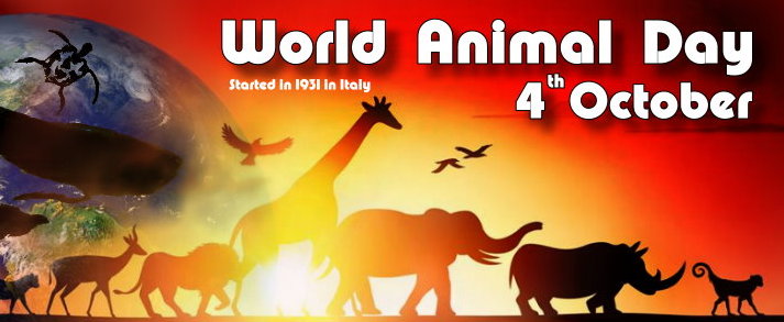 World Animal Day October 4 Images, HD Pictures, UHD Photographs, 4K