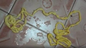 tapeworm 17ft pooping alien stunned worm wriggling