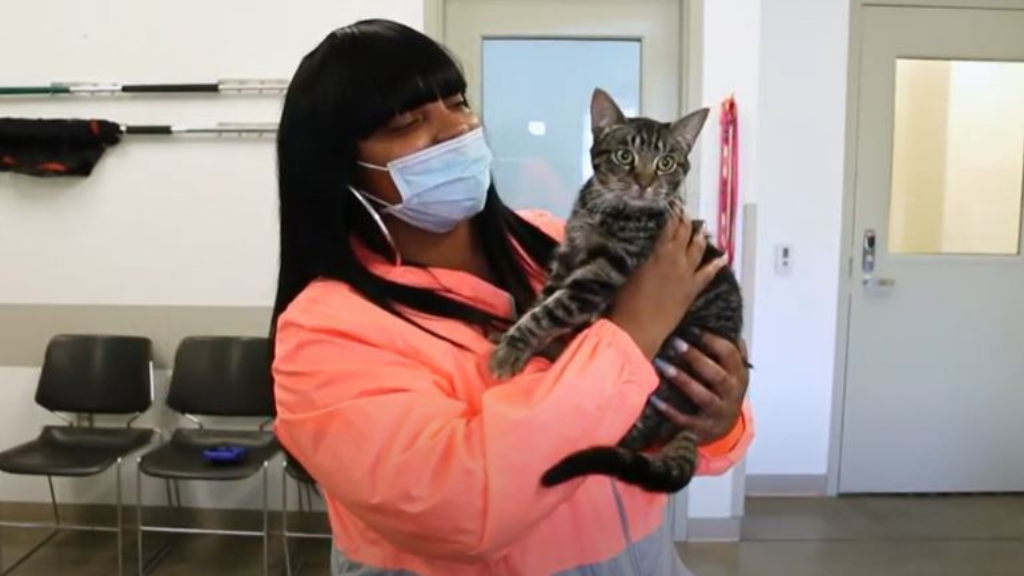 Owner Is Reunited With Her Beloved Cat 5 Months After They Thought It ...