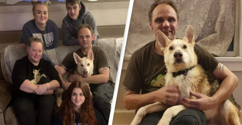 Dog That Ran Away Out Of Fear Found 300 Miles Away From Family House ...