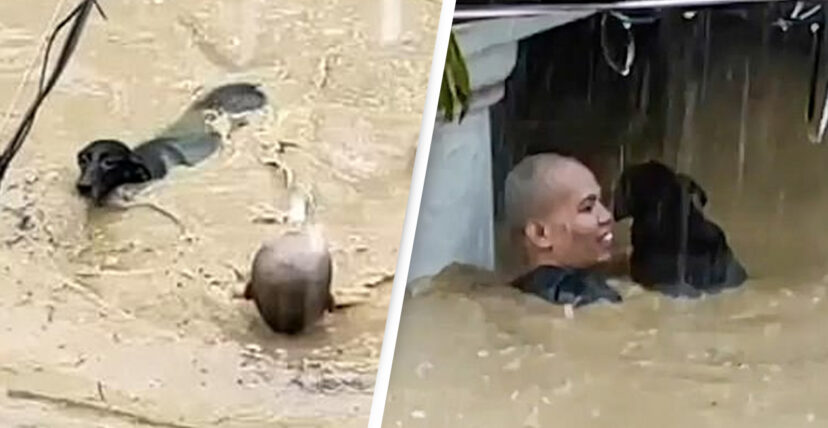 Filipino Risks Own Life To Rescue Dog That Got Trapped In Flooded House ...