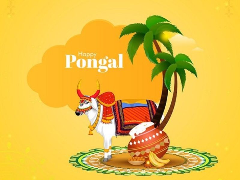 Happy Pongal 2021 Images, HD Pictures, Ultra-HD Wallpapers, 4K