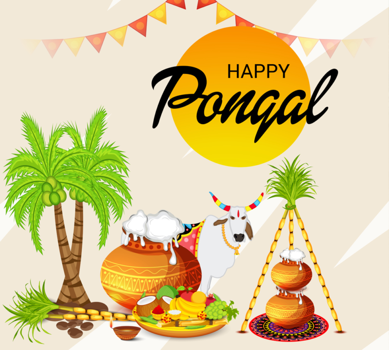 Happy Pongal 2021 Images, HD Pictures, Ultra-HD Wallpapers, 4K ...