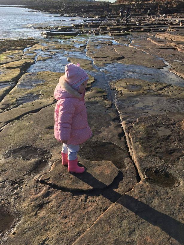 lily wilder dinosaur footprint