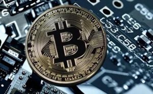 man throws hard drive away with bitcoins mining