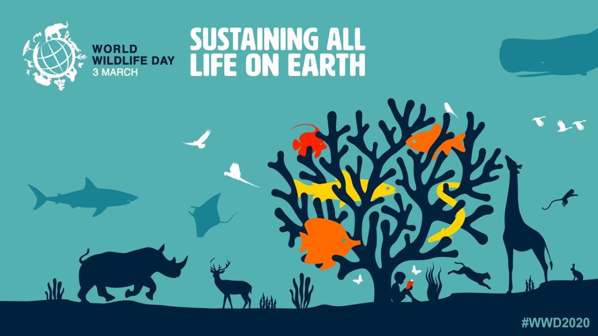 World Wildlife Day March 3 Images, HD Pictures, UltraHD Wallpapers