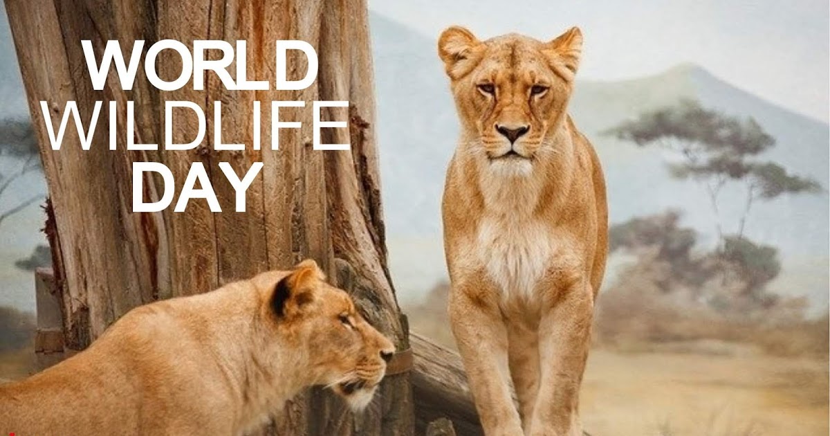 World Wildlife Day March 3 Images, HD Pictures, UltraHD Wallpapers